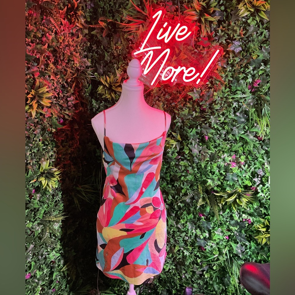 Forever 21 Red and Pink Slip Mini Dress